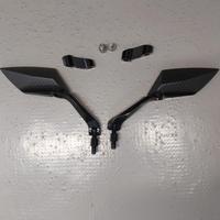 Coppia specchietti Carbon