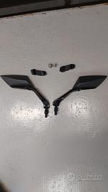 Coppia specchietti Carbon