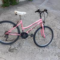 Biciclette per ragazzine
