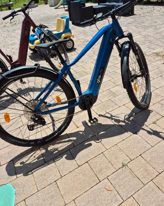 bici uomo