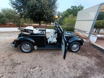 volkswagen maggiolone