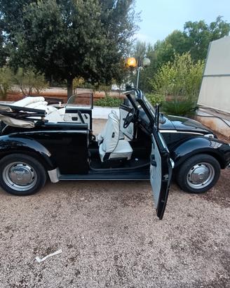 volkswagen maggiolone