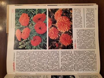 Grande Enciclopedia del Giardinaggio Curcio – 8 v.