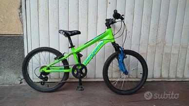 Bici Megamo Open junior