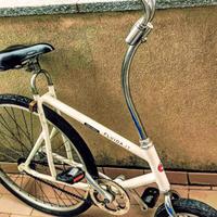 Bicicletta  city bike