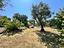 Immagine 25