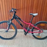 Mountain bike Specialized 24