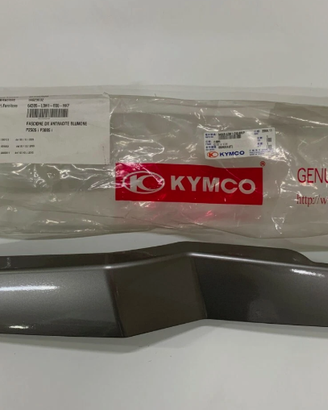 Fascione Kymco DX Antracite Blumone - 00154386HK
