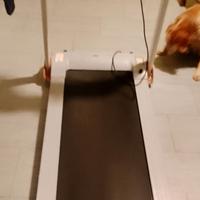 tapis roulant