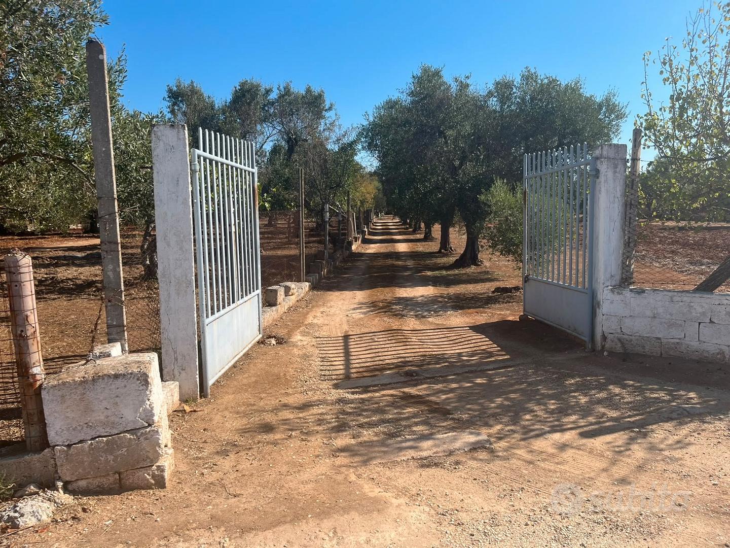 C.da Perito - Terreno con trullo - Vista 2
