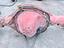 Immagine 14