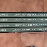 Curarsi con erbe, radici, foglie e fiori