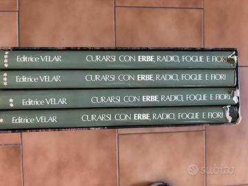 Curarsi con erbe, radici, foglie e fiori