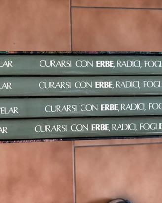 Curarsi con erbe, radici, foglie e fiori