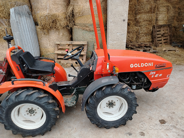 Trattore goldoni Euro W 40 RS