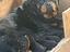 Immagine 5