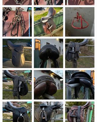 Selle monta inglese