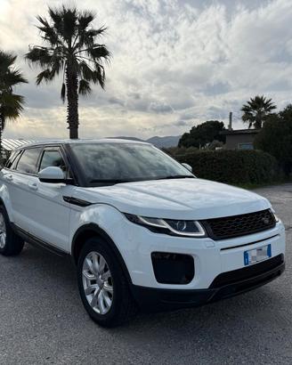 Land Rover Range Evoque 2.2 TD4 5p. Pure