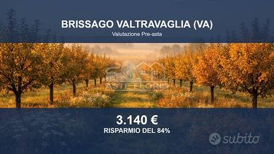 Immobile in asta di 11430 m² a Brissago-Valtravagl