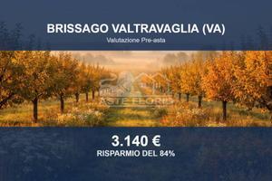 Immobile in asta di 11430 m² a Brissago-Valtravagl
