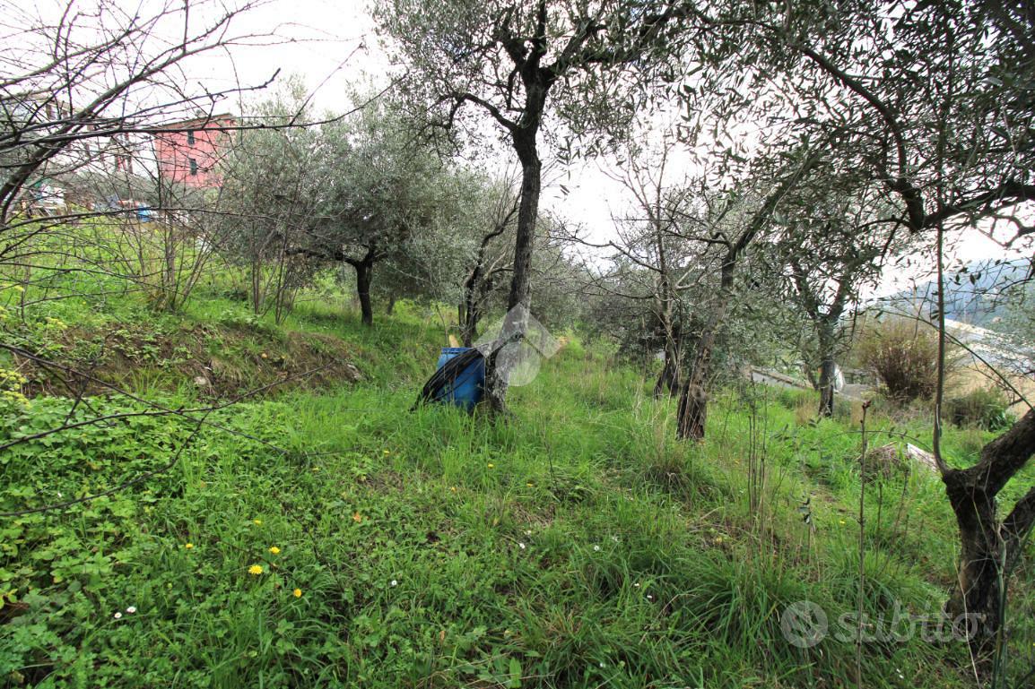 TER. AGRICOLO A LEIVI - Vista 3
