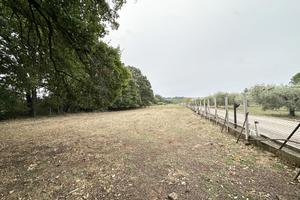 Terreno Residenziale Nepi [Cod. rif 3235673VRG]