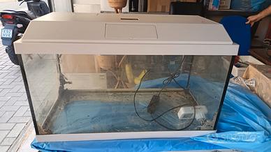 aquario genius 60