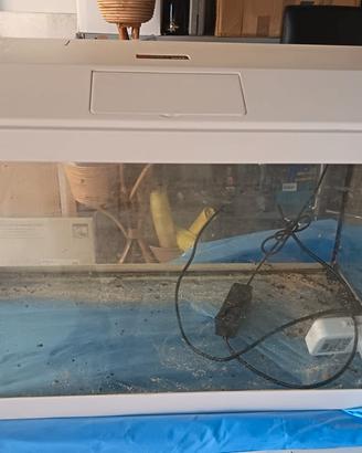 aquario genius 60