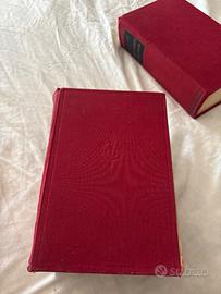 Dizionario inglese e italiano