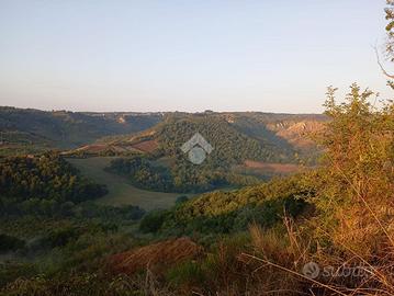 VILLA SINGOLA A CIVITELLA D'AGLIANO