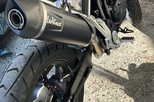 Tiger 900