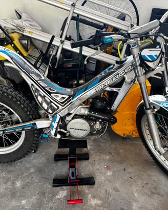 Sherco 290 targato
