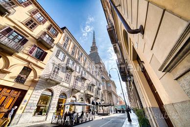 Appartamento Torino [Cod. rif 3265679VRG]