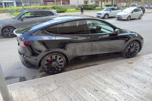 TESLA MODEL Y PERFORMANCE