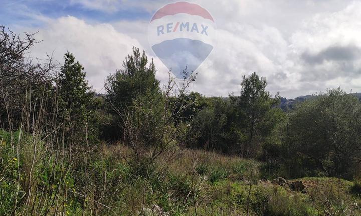 Terreno Edificabile - Noto