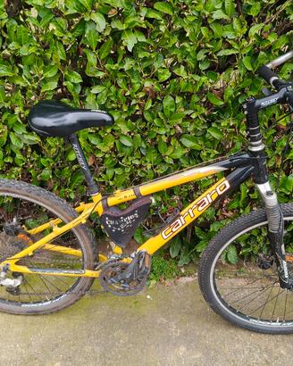mountain bike
