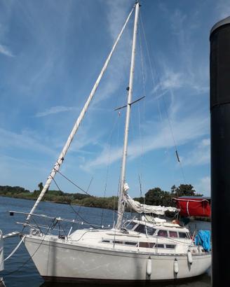 Motorsailer BENETEAU EVASION 29'