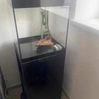 Acquario Askoll PURE LED 45 con mobile