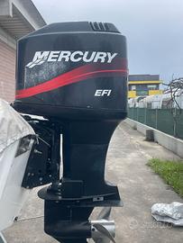 MOTORE mercury 225cv