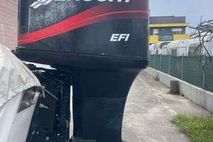 MOTORE mercury 225cv