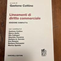 Lineamenti di diritto commerciale