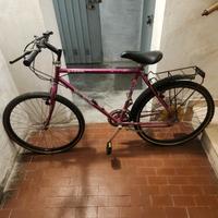 Bicicletta MTB 