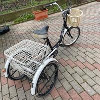 Bici a 3 ruote per anziani – stabile e comoda