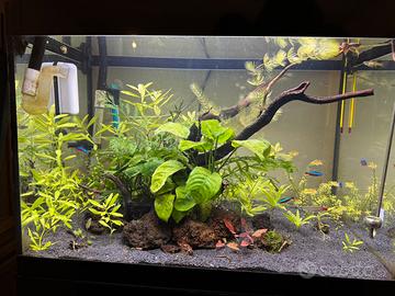 Askoll pure L + accessori