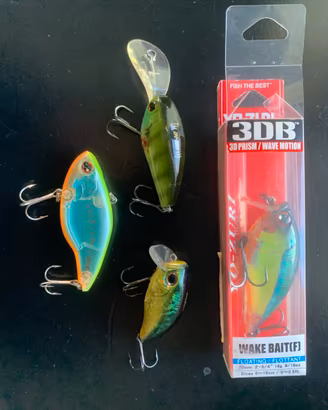 Esche da bass crank