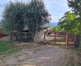 Terreno Agricolo Castelfranco di Sopra