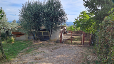 Terreno Agricolo Castelfranco di Sopra