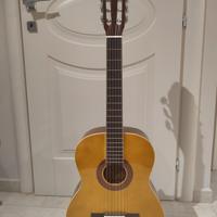 chitarra eko