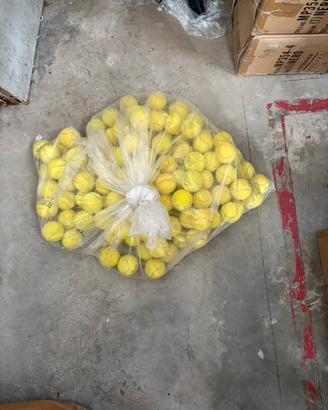 Palline da tennis usate per allenamento