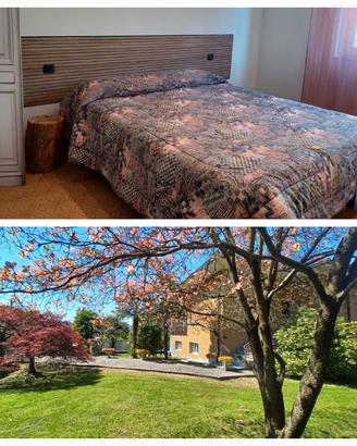 Affitta camere/casa vacanze lago D'Orta